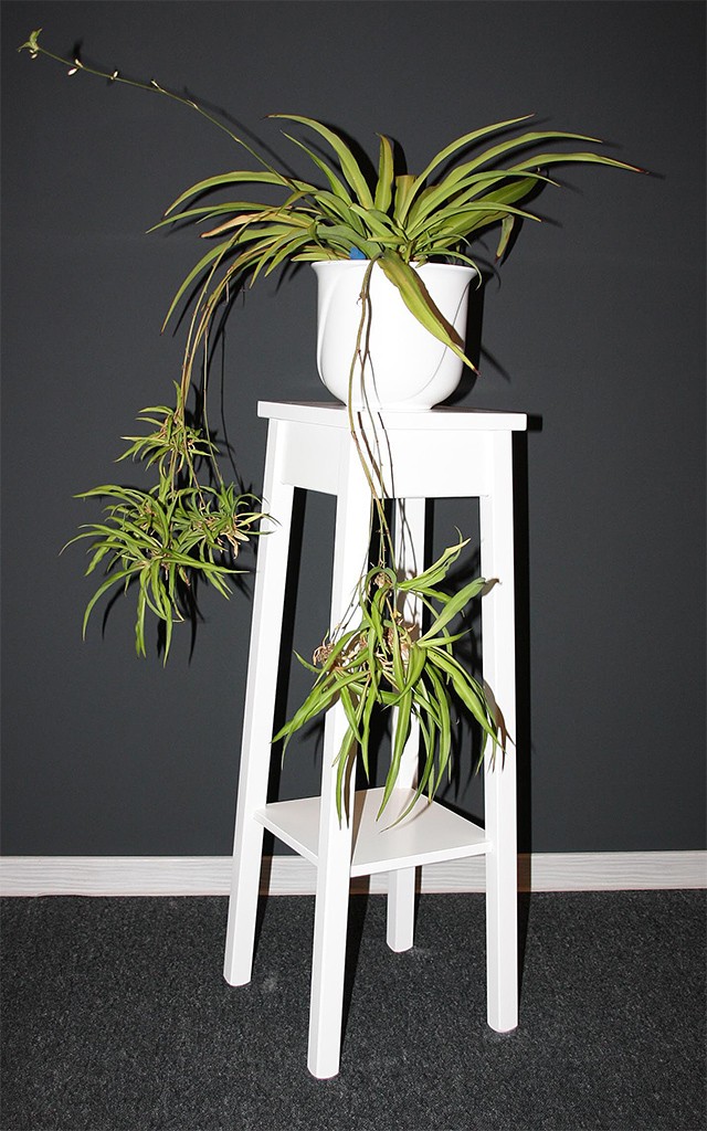Massivholz Blumentisch Blumenhocker Blumenständer 80 Holz massiv weiß