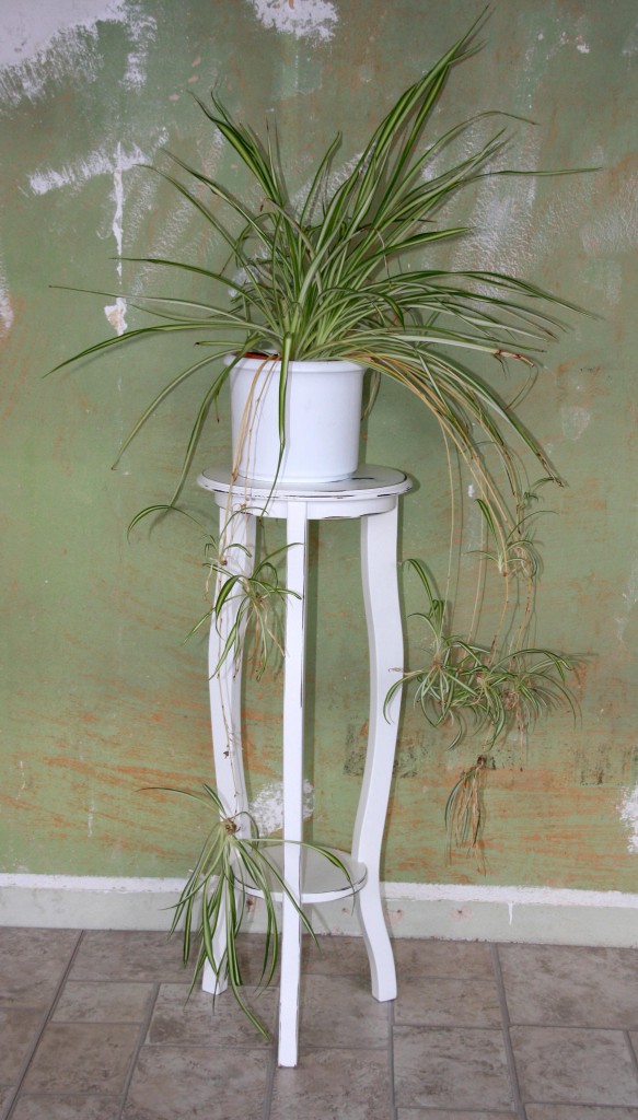 Massivholz Blumentisch Blumenhocker rund 80 Holz massiv weiß shabby